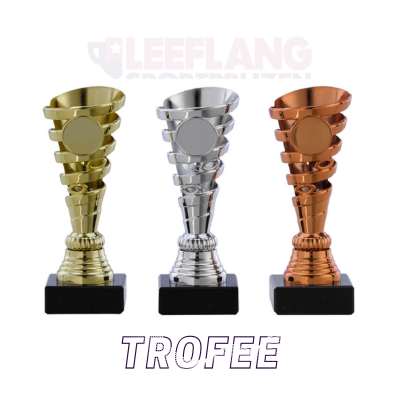 Categorie-trofeeen-leeflang-sportprijzen-400x400